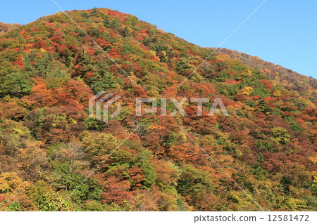 出生地山谷 12581472