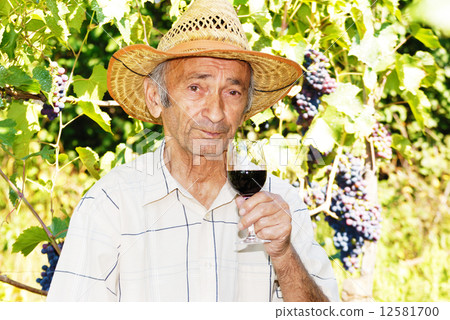 Senior viticulturist 12581700