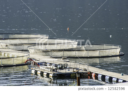 Cages for fish farming 12582596