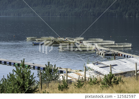 Cages for fish farming Cages for fish farming 12582597