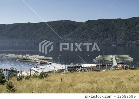 Cages for fish farming Cages for fish farming 12582599