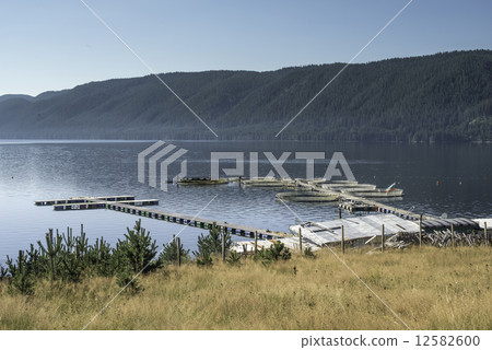 Cages for fish farming 12582600