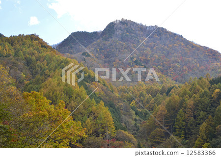 Kakikura ridge in autumn 12583366