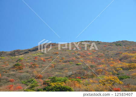 Autumn leaves at Makinoto Pass Autumn leaves at Makinoto Pass 12583407