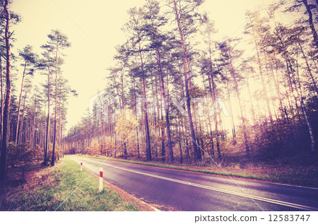Vintage retro styled picture of a road in forest. Vintage retro styled picture of a road in forest. 12583747