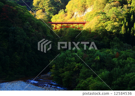 長野縣高山村長野谷 12584536