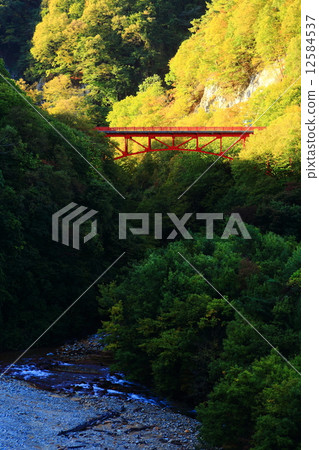 Takayama village Nagano prefecture Matsukawa Valley (vertical position) 12584537