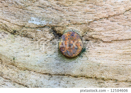 Nail in wood surface, horizontal photo 12584606