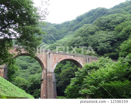 森林的遺跡 森林的遺跡 12586339