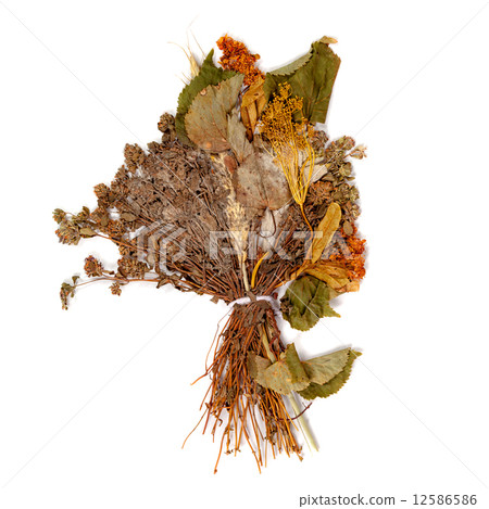 Dry wild grass and flowers Dry wild grass and flowers 12586586
