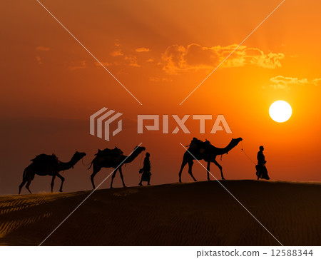 Two cameleers (camel drivers) with camels in dunes of Thar deser Two cameleers (camel drivers) with camels in dunes of Thar deser 12588344