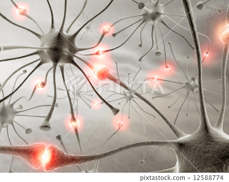 Neuron Concept Neuron Concept 12588774