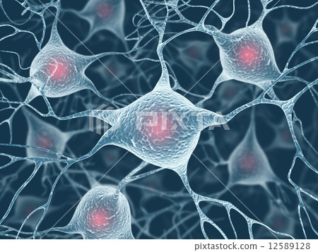 Neuron Concept Neuron Concept 12589128