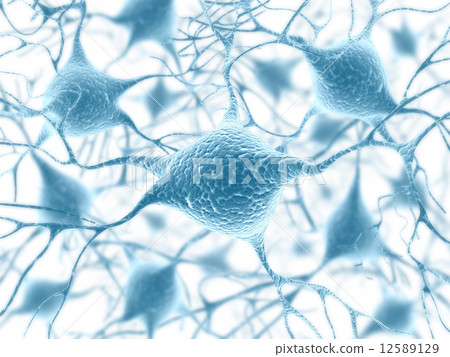 Neuron Concept Neuron Concept 12589129