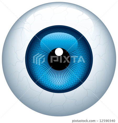 Eyeball 12590340