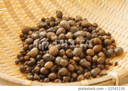 Bamboo grass 12591130