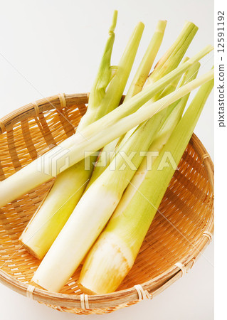 Makoto Haruka 12591192