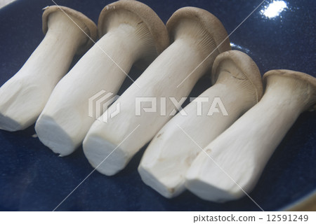 Eringi Mushroom on a blue plate 12591249