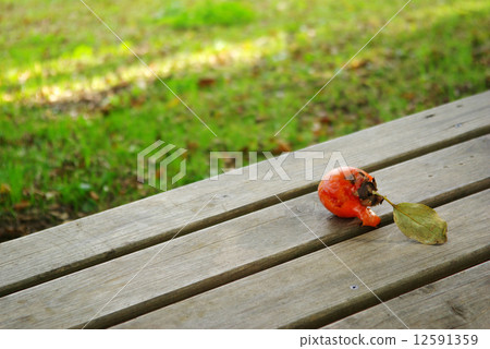 Falling persimmon 12591359