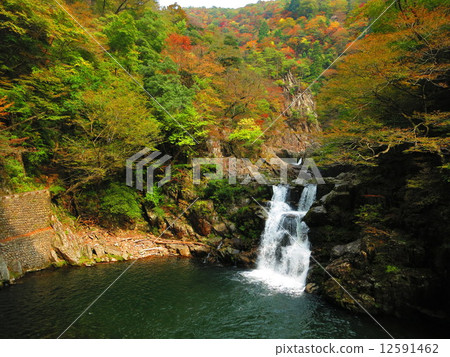 Hiroshima prefecture Sanshou Gorge 2014 Part 8 12591462
