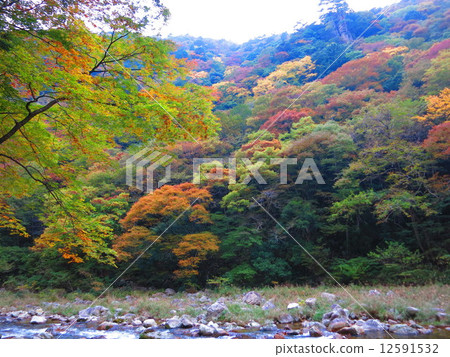 Hiroshima prefecture Sansho Gorge part 39 12591532