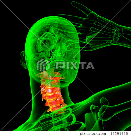3d render medical illustration of the cervical spine 3d render medical illustration of the cervical spine 12591556