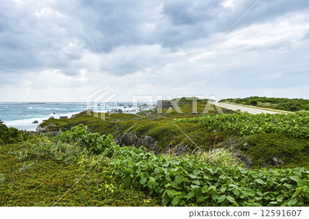 Low floor plants of Eastern Heian Nagasaki 12591607