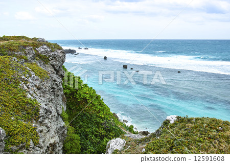 Low floor plants of Eastern Heian Nagasaki 12591608