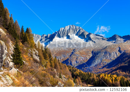 Care Alto - Adamello Trento Italy 12592106