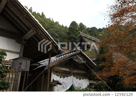 Autumn leaves of Togansuji Temple Autumn leaves of Togansuji Temple 12592120