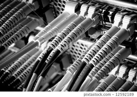 network cables 12592189
