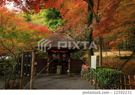 Nanno菩薩寺廟秋葉 12592231