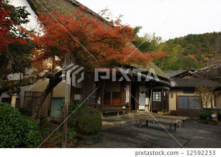 Autumn leaves of Nanno Buddha Temple 12592233