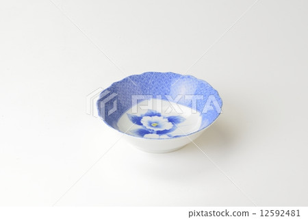 Japanese dish Japanese dish 12592481