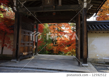 Autumn leaves of Niseo-in 12592512