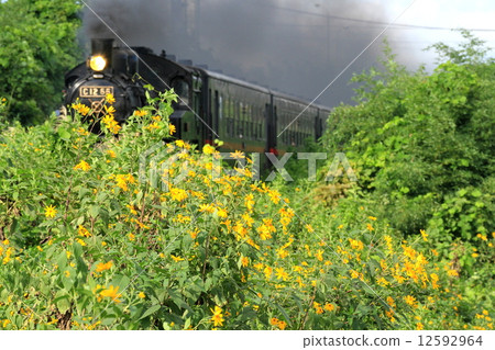 Moka Railway “Jerusalem Flower and SL Moka” 12592964