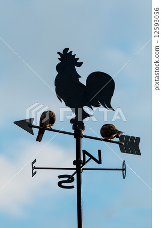 Wind cock Wind cock 12593056