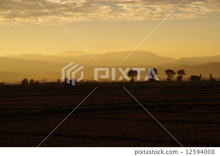 Dusk of golden Dusk of golden 12594008