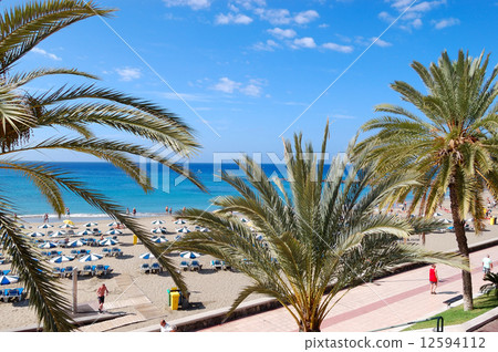 The tourists enjoying clear water at the beach, Tenerife, Spain 12594112