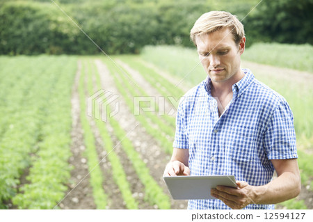 Farmer On Organic Farm Using Digital Tablet 12594127