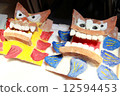 SHISA 12594453