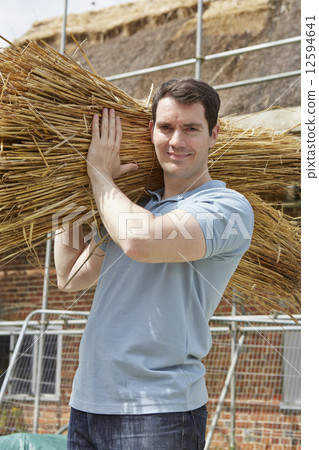 Thatcher Carrying Bundles Of Reeds Working On Roof 12594641
