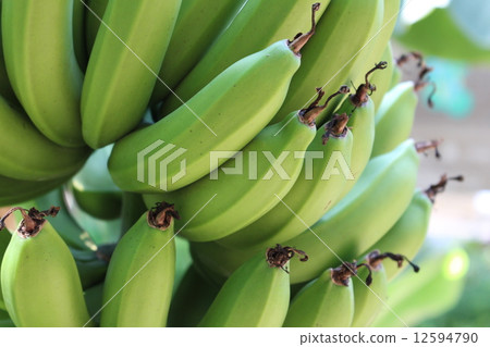 Blue banana Blue banana 12594790