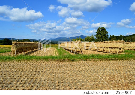 Landscape with inage 12594907