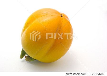 西條柿 西條柿 12595602