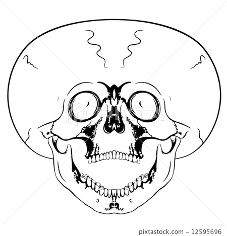 screaming skull 12595696