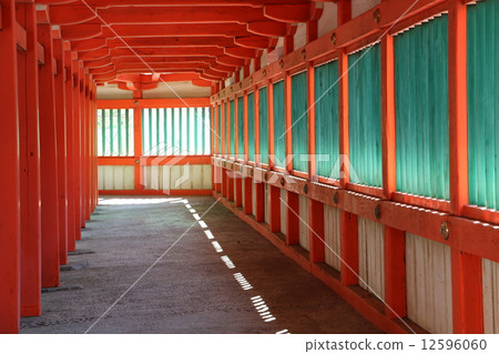 日本大崎神社的走廊 12596060