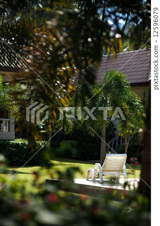 Field of grass, sunbed and coconut palms on Samui island Field of grass, sunbed and coconut palms on Samui island 12596079