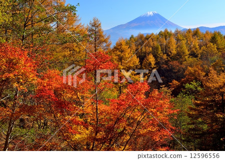 富士山 12596556
