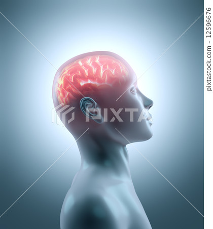 Hot brain 12596676